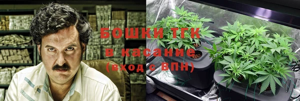 a pvp Алзамай