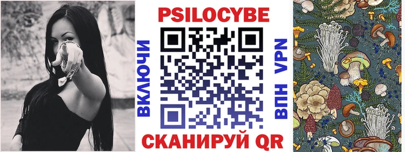 Псилоцибиновые грибы Psilocybine cubensis  Протвино 