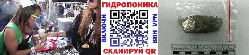 МАРИХУАНА OG Kush Протвино